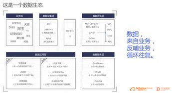 獨家解碼 1207億元背后的阿里數(shù)據(jù)生態(tài)與數(shù)據(jù)處理服務(wù)全景